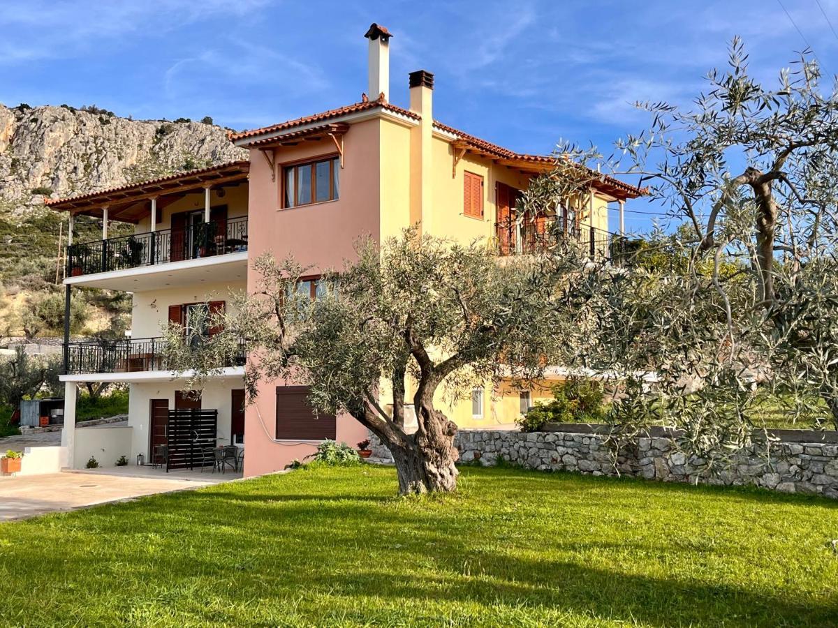 Ενtree Guest House Near Palamidi Castle Nafplio Eksteriør billede