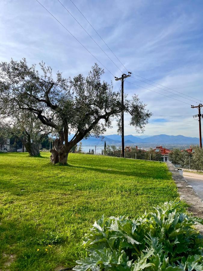 Ενtree Guest House Near Palamidi Castle Nafplio Eksteriør billede